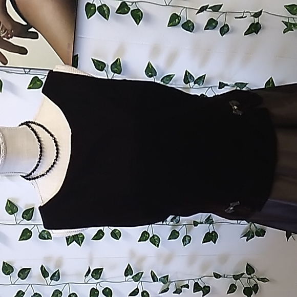 "Perfect Classic" BROWN SCOTT McCLINTOCK GOWN SZ 16 VELVETY AND SATIN LOOK... - Picture 4 of 13